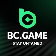 Understanding the BC App Lottery Your Guide to Winning